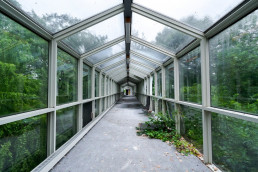 building, tree, outdoor, green, greenhouse, porch, area, walkway, surrounded, stone, day